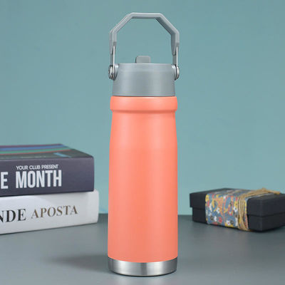 550ml/650ml Outdoor Sports Water Bottle with Straight Drink and Insulated Design