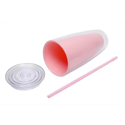 TOUR Applicable Adults 24oz BPA Free Double Wall Plastic Tumbler with Straw and Lid