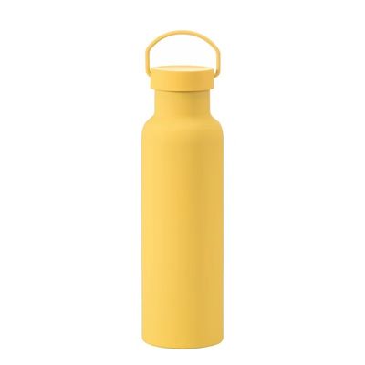 Disposable Solid Color Sports Insulated Cup With Handle Stainless Steel Vacuum Bottle