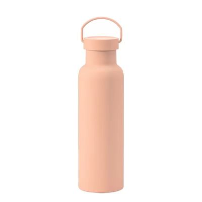 Disposable Solid Color Sports Insulated Cup With Handle Stainless Steel Vacuum Bottle