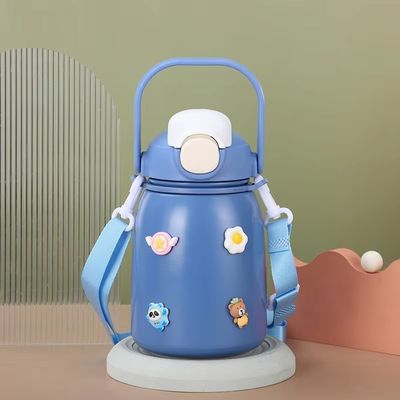 Insulated Stainless Steel Water Bottle 800ml Capacity Flip-Top Lid BPA-free with Straw