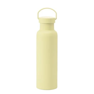 Stainless Steel Double Wall Vacuum Bottle With Handle Solid Color Sports Insulated Cup