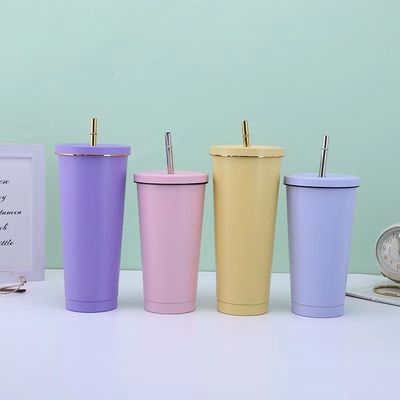 Custom Color 500ml 750ml Double Wall Stainless Steel Vacuum Cup with Straw Insulated Coffee Tumbler