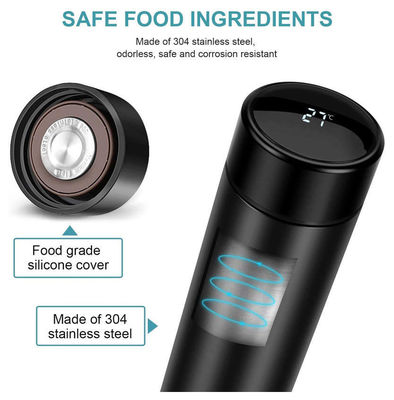 BPA-Free Vacuum Insulated Thermos Bottle with LED Temperature Display and Tea Infuser