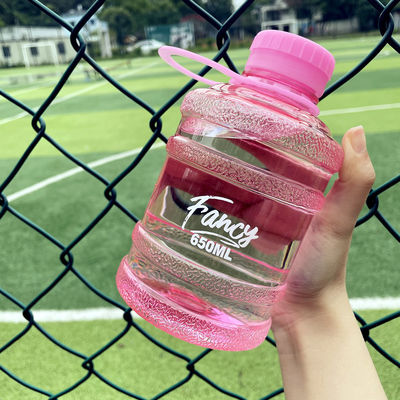 Direct Drinking 650ml Custom Logo Portable Sport Tumbler with Handle Cute Design