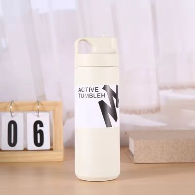 Unisex Custom Sport 550ml Stainless Steel Double Wall Insulated Vacuum Flask with Handle