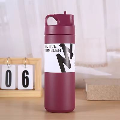 Unisex Custom Sport 550ml Stainless Steel Double Wall Insulated Vacuum Flask with Handle