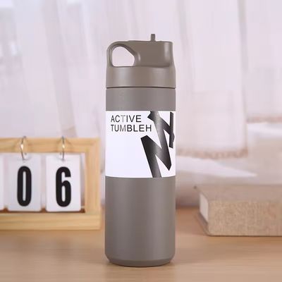 Unisex Custom Sport 550ml Stainless Steel Double Wall Insulated Vacuum Flask with Handle
