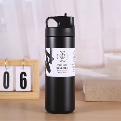 Unisex Custom Sport 550ml Stainless Steel Double Wall Insulated Vacuum Flask with Handle