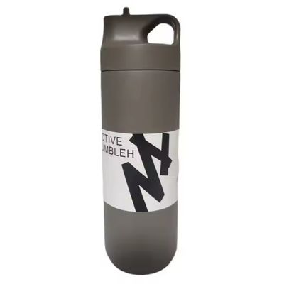 Unisex Custom Sport 550ml Stainless Steel Double Wall Insulated Vacuum Flask with Handle