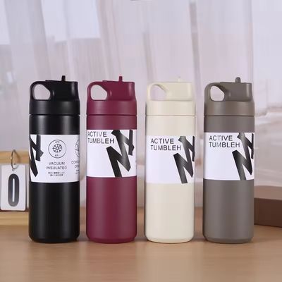 Unisex Custom Sport 550ml Stainless Steel Double Wall Insulated Vacuum Flask with Handle