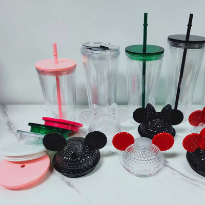 16oz/24oz Student Sports Cup with Lid and Straw Double-walled Plastic Water Bottle