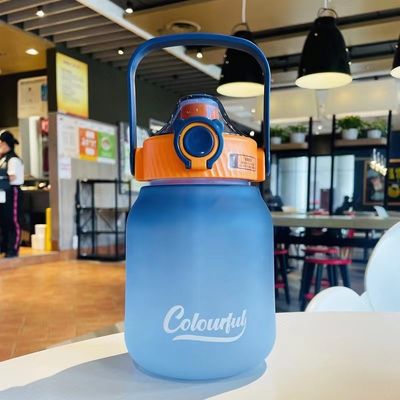 1100ml/1300ml Leakproof Custom Frosted Creative Beverage Bottle for Outdoor Sports/Camping