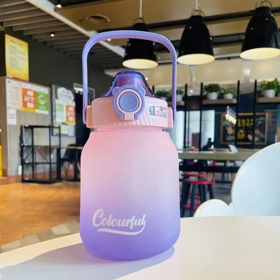 1100ml/1300ml Leakproof Custom Frosted Creative Beverage Bottle for Outdoor Sports/Camping