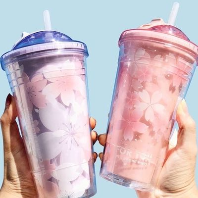 Outdoor Camping Necessity 480ML Plastic Water Bottle with Custom Pattern and Straw