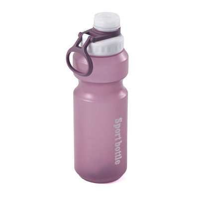 Leakproof 500ml Clear Plastic Water Bottle with Customized Logo and BPA Free Material