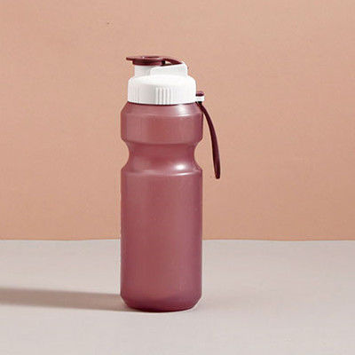 Leakproof 500ml Clear Plastic Water Bottle with Customized Logo and BPA Free Material