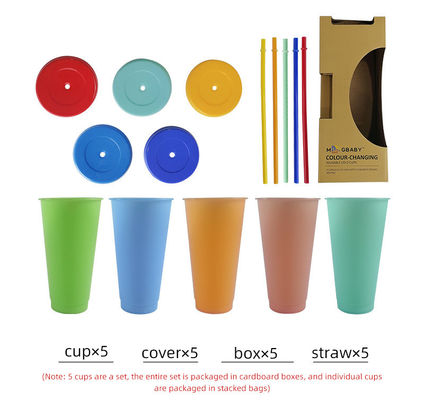 Minimalist Design Style 24oz BPA-free Plastic Color Changing Cup with Lid and Straw