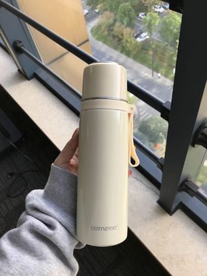 500ml Stainless Steel Water Bottle Portable Double-wall Insulated Water Cup for All