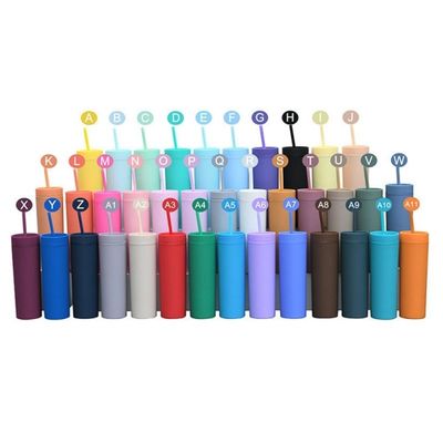 16oz Custom Matte Water Bottle Double Wall Acrylic Tumbler Coffee Milk Mug with Straw