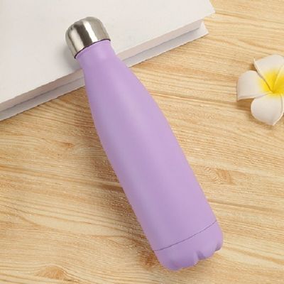 Eco-friendly Stainless Steel Thermos Bottle with Hot Design and Customization Options
