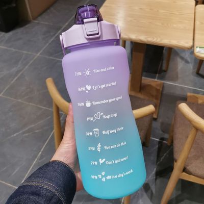 Gradient Color Large Capacity Frosted Water Cup Straw Cup Ideal for Outdoor Adventures