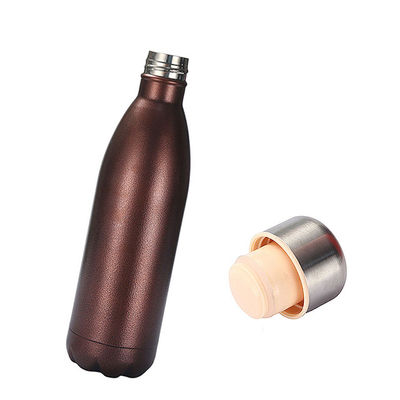 Portable Stainless Steel Insulated Water Kettle Customizable and Family-Friendly