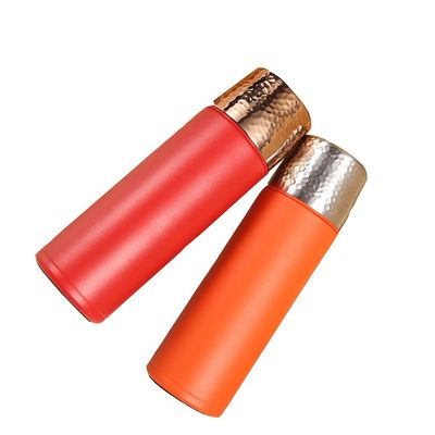 Direct Supply 480ml Stainless Steel Insulated Thermos Water Bottle for Hot Cold Drinks
