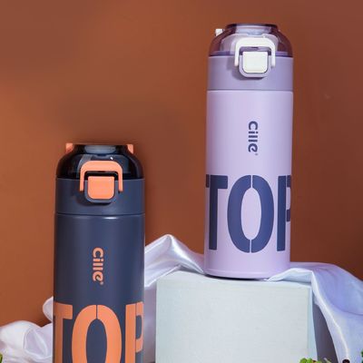 500ml Stainless Steel Vacuum Flask Custom Insulated Water Bottle with 2 Drinking Methods