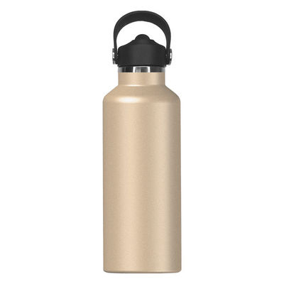 650ml Stainless Steel Insulated Water Bottle Modern Design for Active Kids and Outdoor