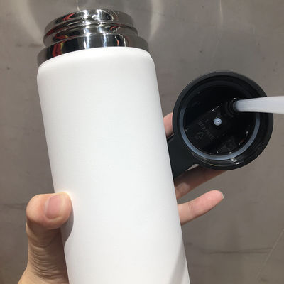 Vacuum Insulated Gym Water Bottle 304 Stainless Steel with Picture Straight Drink Lid