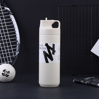 Outdoor Camping Straight Cup Double Wall Stainless Steel Vacuum Water Tumbler with Straw