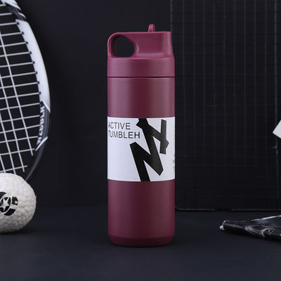 Outdoor Camping Straight Cup Double Wall Stainless Steel Vacuum Water Tumbler with Straw