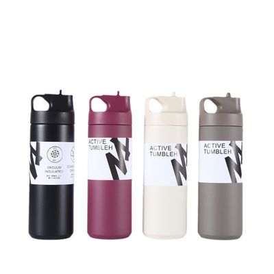 304 Stainless Steel Inside Vacuum Flask Water Tumbler with Cartoon Design and Handle