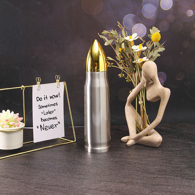 Stainless Steel 500ml Bullet Double Wall Vacuum Flask for Outdoor Hiking and Camping