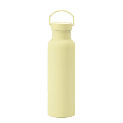 CLASSIC Design Style Stainless Steel Insulated Water Bottle with Handle Eco Friendly