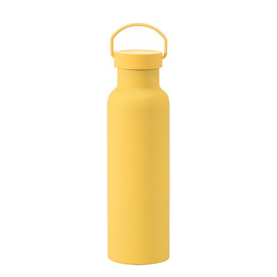 CLASSIC Design Style Stainless Steel Insulated Water Bottle with Handle Eco Friendly
