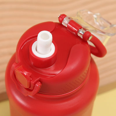 700ml Stainless Steel Insulated Thermos with Straw Lid Sustainable and All In One